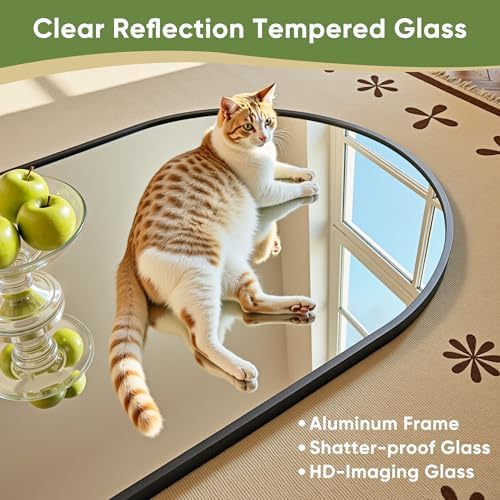 Bogenförmiger Ganzkörperspiege – Arch Mirror Leaning Bewertung und Preis