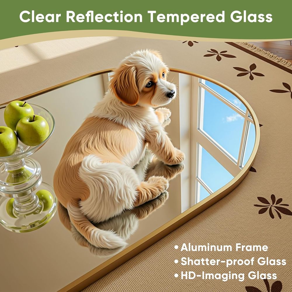 Gewölbter Ganzkörperspiegel 71 – Arch Mirror Leaning Bewertung und Preis